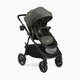 Joie Ginger Stroller - Evergreen