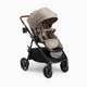 Joie Ginger Stroller - Mocha