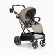 Ingenuity 3DSuite Modular Stroller with Reversible Seat - Cashew