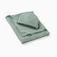 Little Sleepies Swaddle & Infant Beanie Set - Willow, One Size