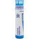 Calcarea Sulphurica