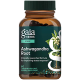 Ashwagandha Root