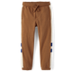 Boys Colorblock Fleece Jogger Pants - Dino Friends