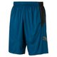 PUMA Cat Men's Shorts