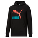 Classics Logo Men's Hoodie