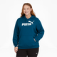 Essentials Women's Logo Hoodie PL