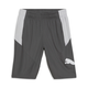 PUMA Cat Men's Training Shorts