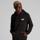 Essentials Small Logo Men's Hoodie