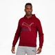 Classics Men's Logo Hoodie