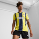Fenerbahçe SK 24/25 Men's Replica Home Soccer Jersey
