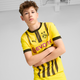 Borussia Dortmund 24/5 Cup Big Kids' Replica Soccer Jersey