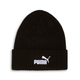 PUMA Logo Ribbed Cuff Beanie
