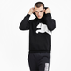 Big Logo Men's Fleece Hoodie
