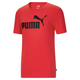 Essentials Men's Logo Tee