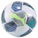 FOOSBALL Park Soccer Ball