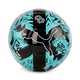 PUMA x CHRISTIAN PULISIC Soccer Ball