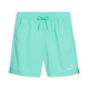 Essentials Men's Woven Shorts