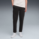 Evostripe Men's Pants