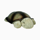Cloud B Twilight Turtle Constellation Night Light - Mocha