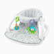 Fisher-Price Sit-Me-Up Floor Seat - Honeydew Drop