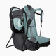 Thule Sapling Child Hiking Backpack Carrier - Black