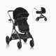 Evenflo Pivot Xpand Modular Stroller - Ayrshire Black