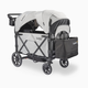 Larktale Caravan V3 Stroller Wagon - Avalon Gray