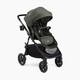 Joie Ginger Stroller - Evergreen