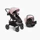 Joie Hazel and Rue Travel System - Blush