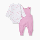 Burt's Bees Baby Organic Cotton Tortoise Jumpsuit & Bodysuit Set - Pink Tortoise, 0-3 M
