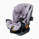 Chicco OneFit LX ClearTex All-in-One Car Seat - Lupine