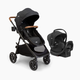 Joie Ginger LX And Rue Travel System - Shale Dark