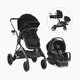 Evenflo Pivot Xpand Modular Travel System with LiteMax Infant Car Seat - Ayrshire Black