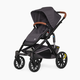 Veer Switch&Roll Stroller - Gray Granite