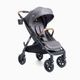 Joie Caraway Whirl Stroller - Thunder
