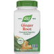 Ginger Root