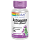 Astragalus Root Extract