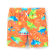 Boys Dino Swim Trunks