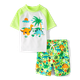 Baby And Toddler Boys Graphic Rashguard Swimsuit