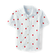 Boys Embroidered Apple Oxford Button Up Shirt - Classroom Cutie