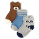 Boys Bear Raccoon Crew Socks 3-Pack - Country Charm