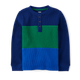Boys Colorblock Henley Top - Dino Friends