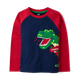 Boys Dino Raglan Top - Mini Valentine