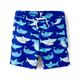 Boys Shark Swim Trunks - Swim
