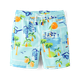 Boys Travel Swim Trunks - Swim